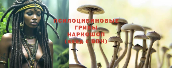 прущая мука Елизово