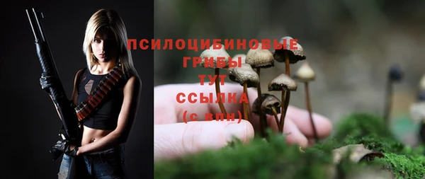 тгк Тайга