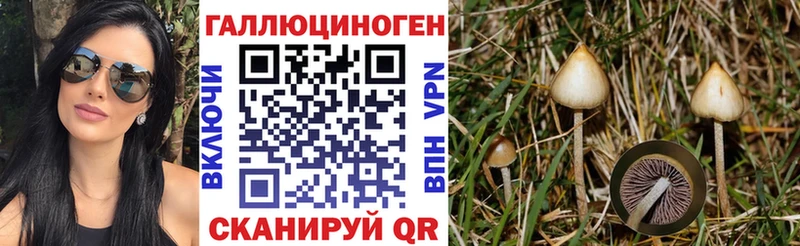Псилоцибиновые грибы Magic Shrooms  наркотики  Ковров 