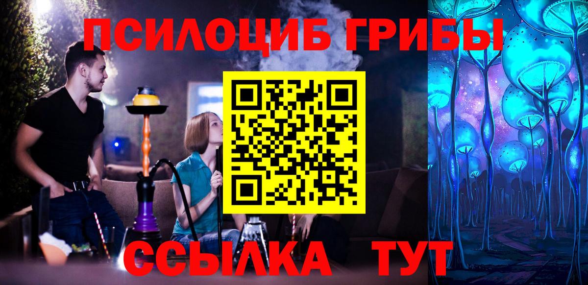 Галлюциногенные грибы Cubensis Ковров