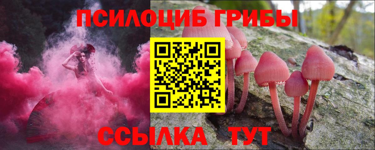 Галлюциногенные грибы мицелий  Вход с VPN  Ковров 